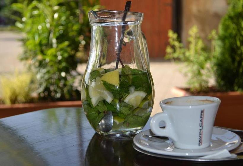 بنسيون Ferdinand Penzion