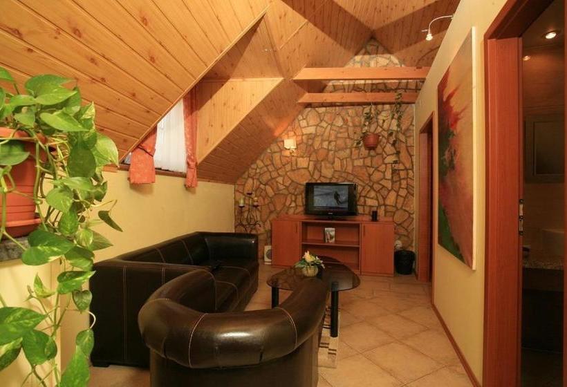 بنسيون Ferdinand Penzion