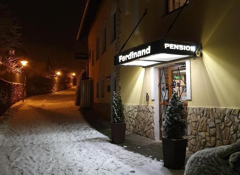 بنسيون Ferdinand Penzion
