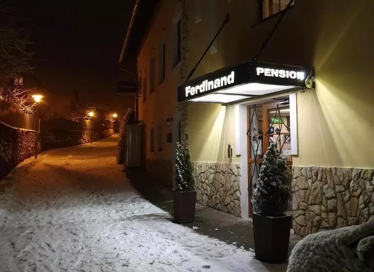 Majatalo Ferdinand Penzion
