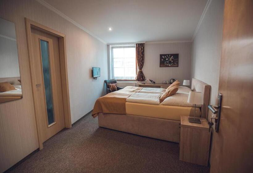 بنسيون Ferdinand Penzion