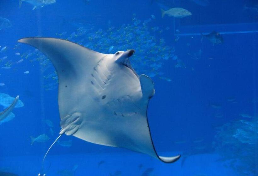 پانسیون Kazenooka