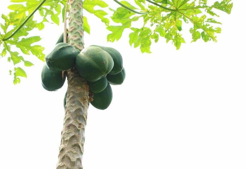 پانسیون Kazenooka