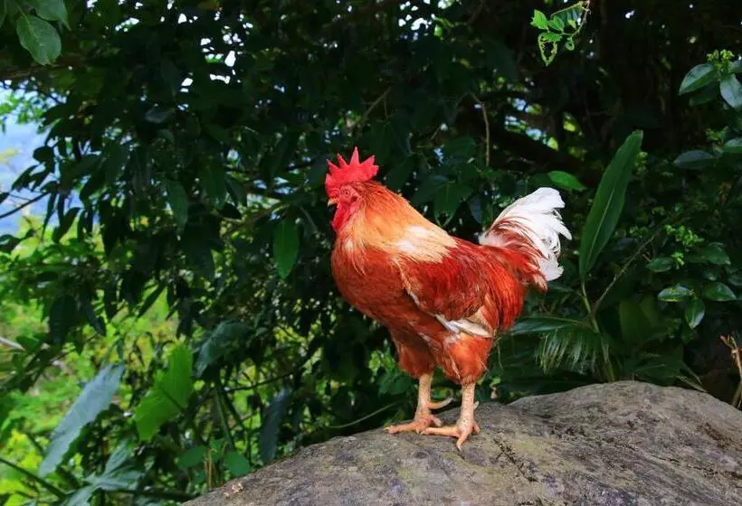 ペンション Kazenooka