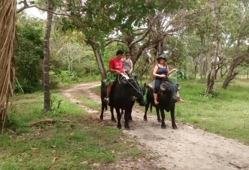 פנסיון Pousada Dos Corações