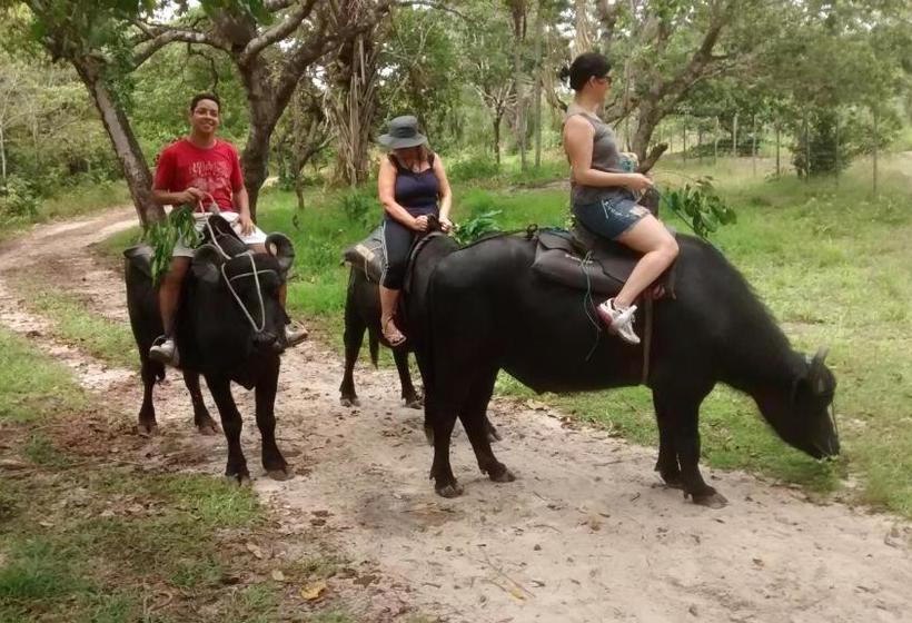 פנסיון Pousada Dos Corações