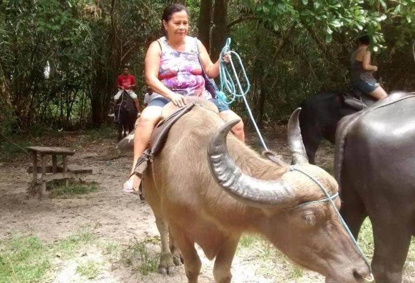 פנסיון Pousada Dos Corações