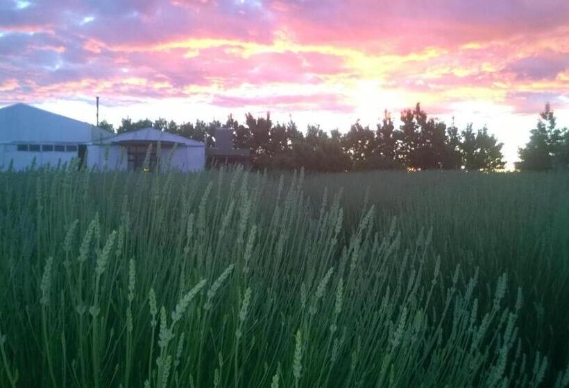 فندق La Calandria Casa De Campo