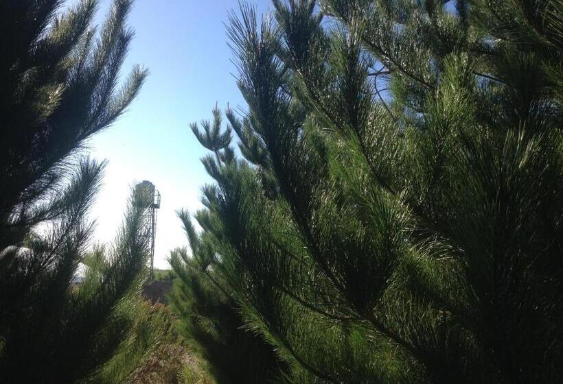 فندق La Calandria Casa De Campo