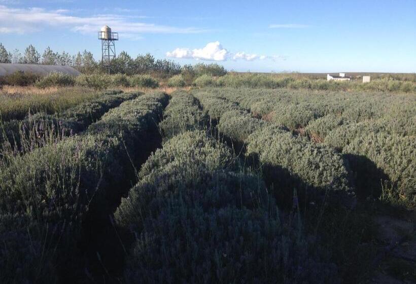 فندق La Calandria Casa De Campo