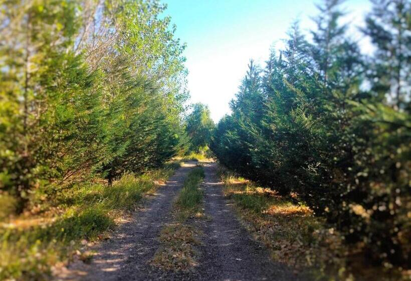 فندق La Calandria Casa De Campo