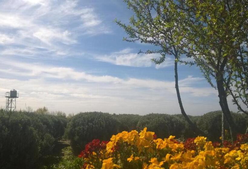 فندق La Calandria Casa De Campo