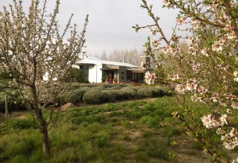 فندق La Calandria Casa De Campo