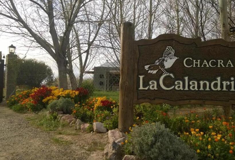 فندق La Calandria Casa De Campo