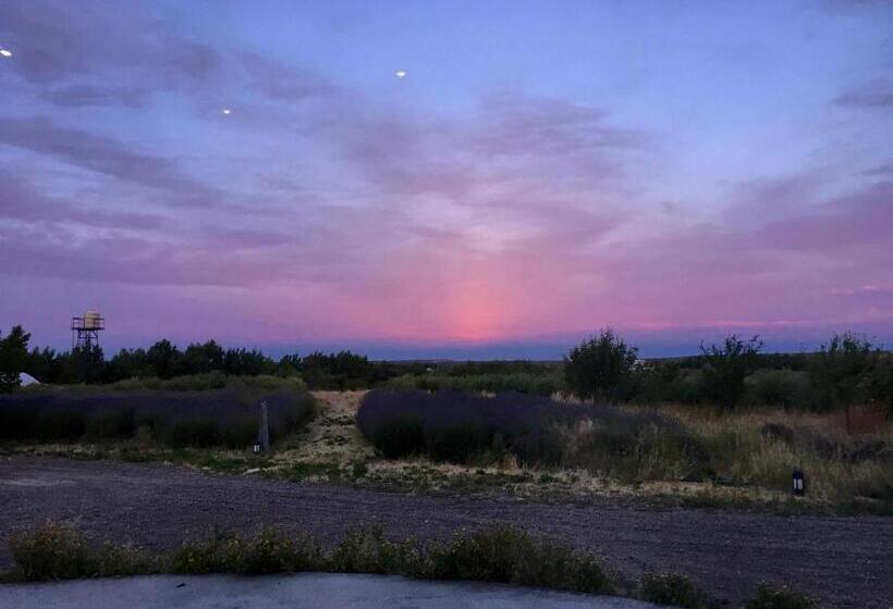 فندق La Calandria Casa De Campo