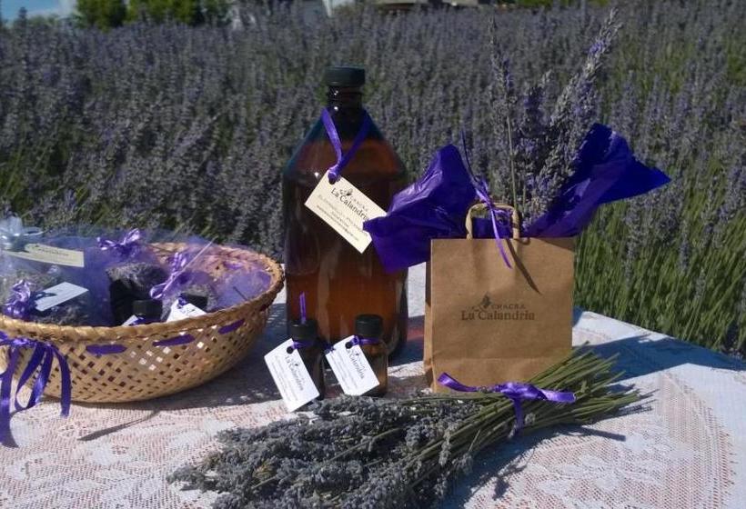 فندق La Calandria Casa De Campo