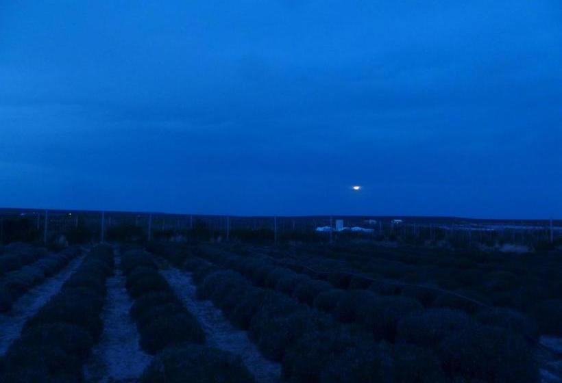 فندق La Calandria Casa De Campo