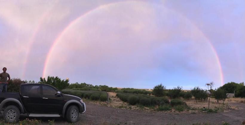 فندق La Calandria Casa De Campo