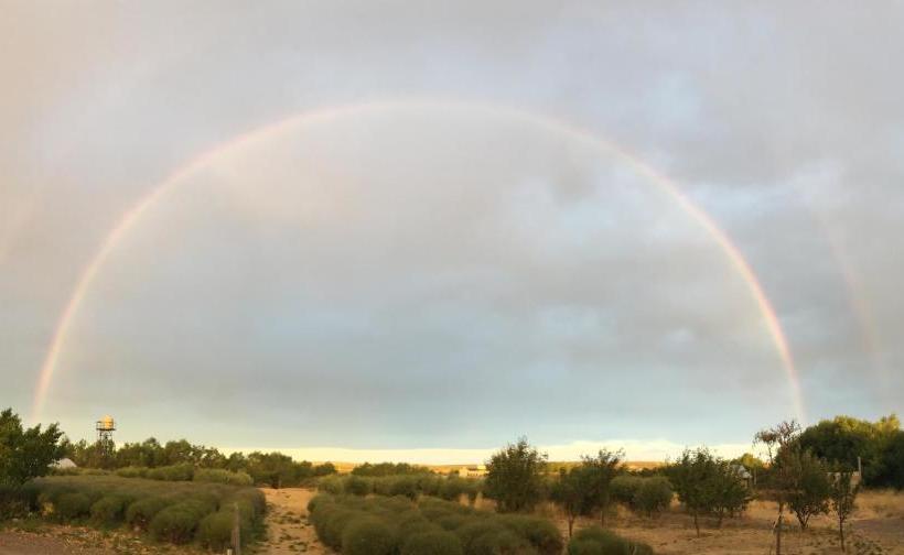 فندق La Calandria Casa De Campo