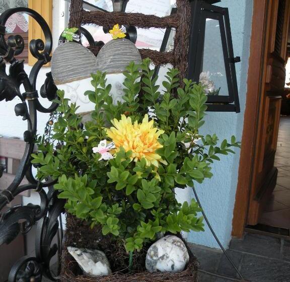 بنسيون Alpenhof Grafleiten