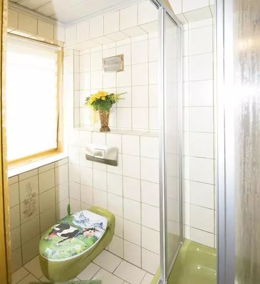 ペンション Alpenhof Grafleiten