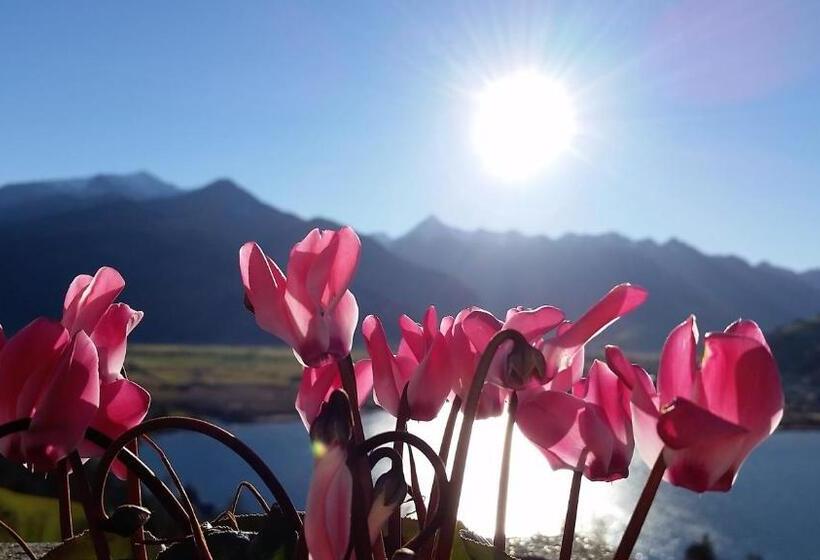بنسيون Alpenhof Grafleiten