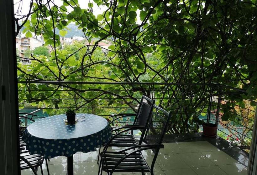 پانسیون Elite Guest House