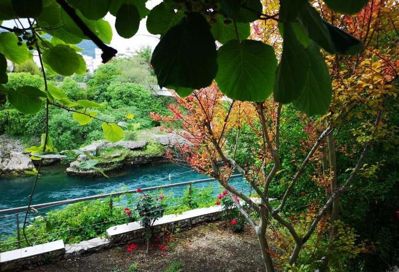 پانسیون Elite Guest House