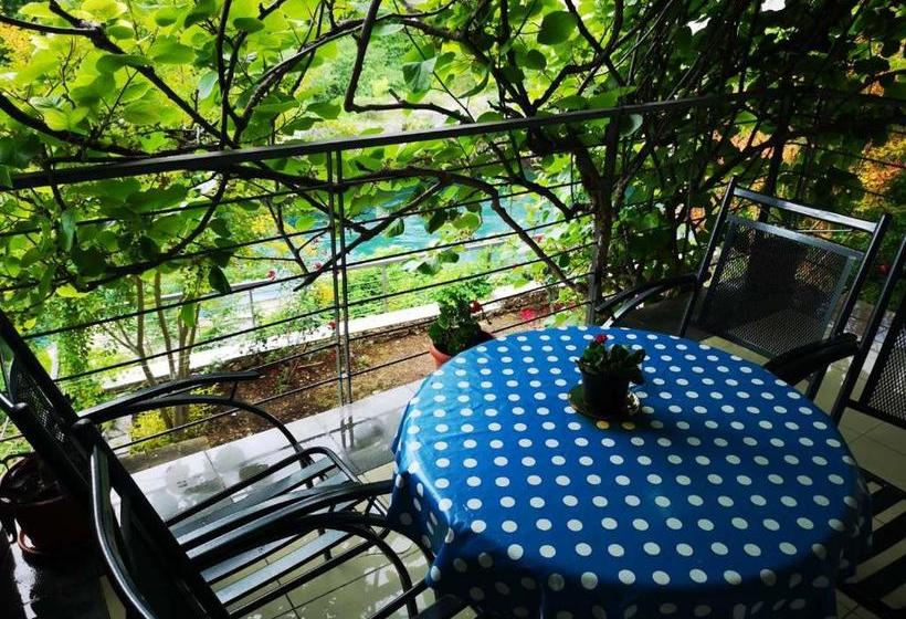 پانسیون Elite Guest House