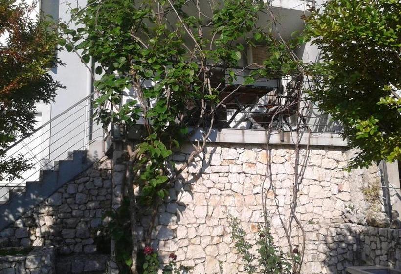 پانسیون Elite Guest House