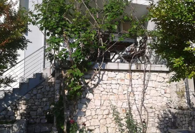 پانسیون Elite Guest House