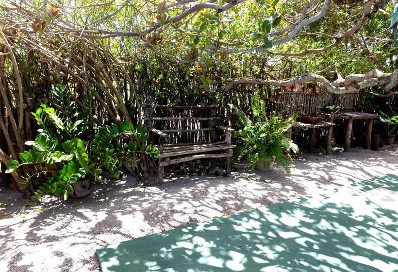 ペンション Recanto Do Rei Chalés