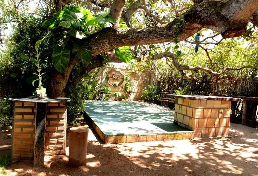 ペンション Recanto Do Rei Chalés