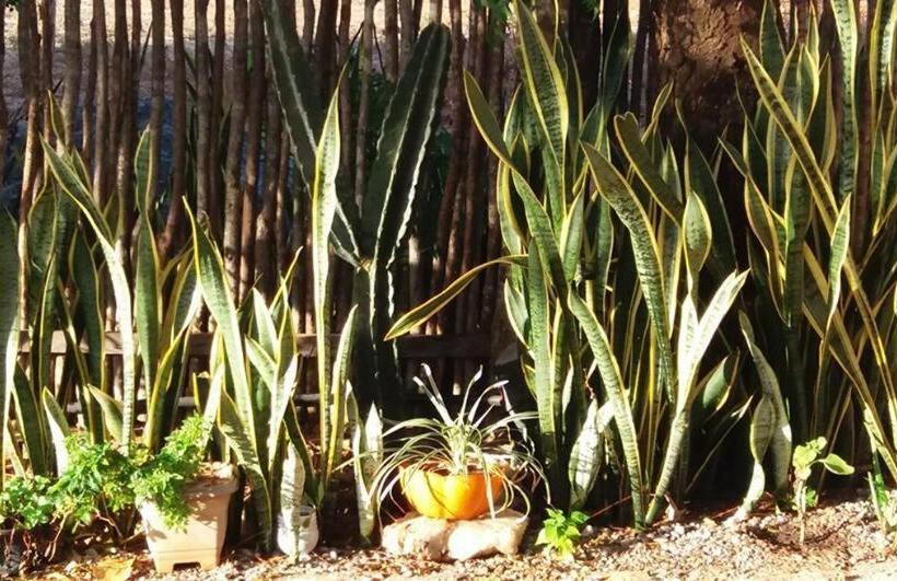 ペンション Recanto Do Rei Chalés