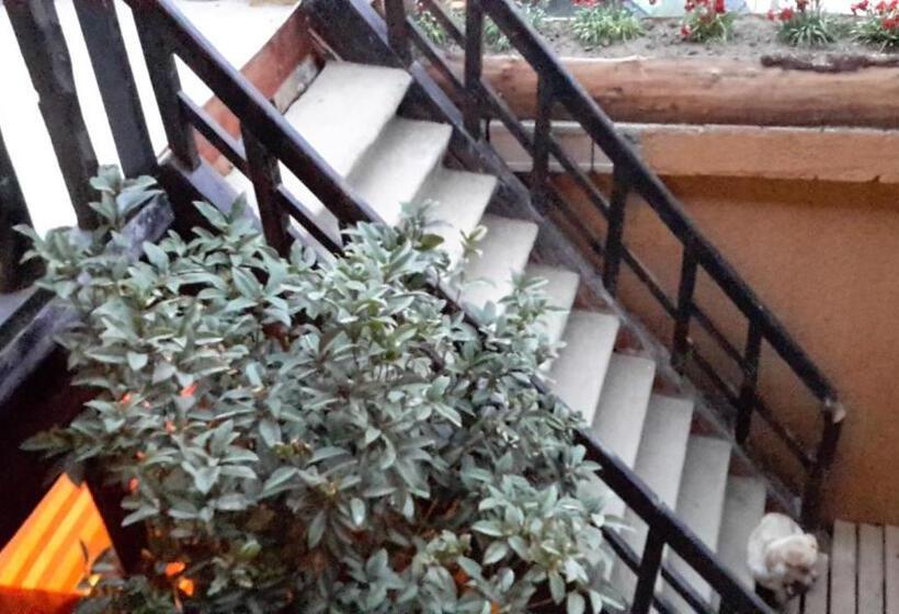 Pensão Timeless Inn