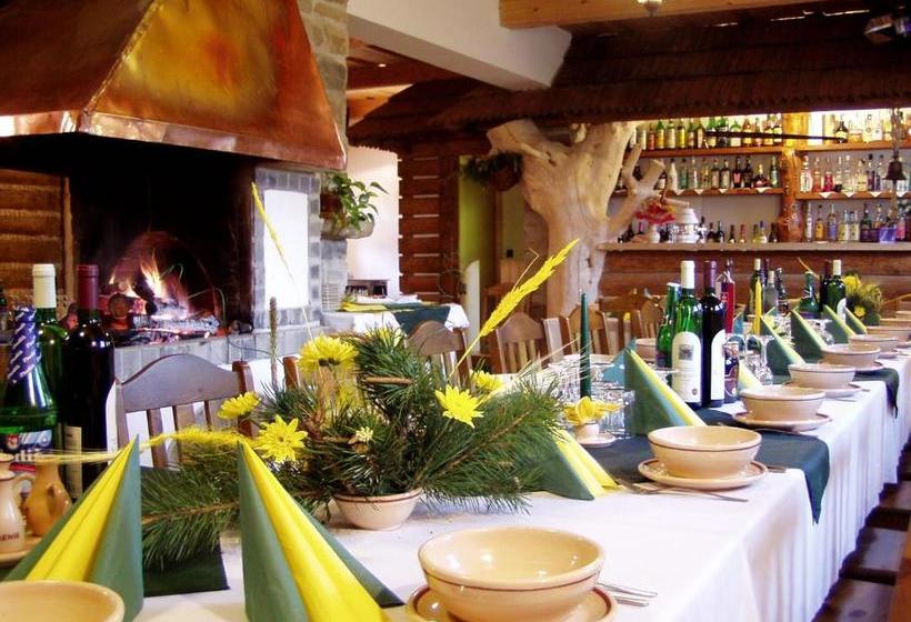 פנסיון Wellness Penzion U Michala