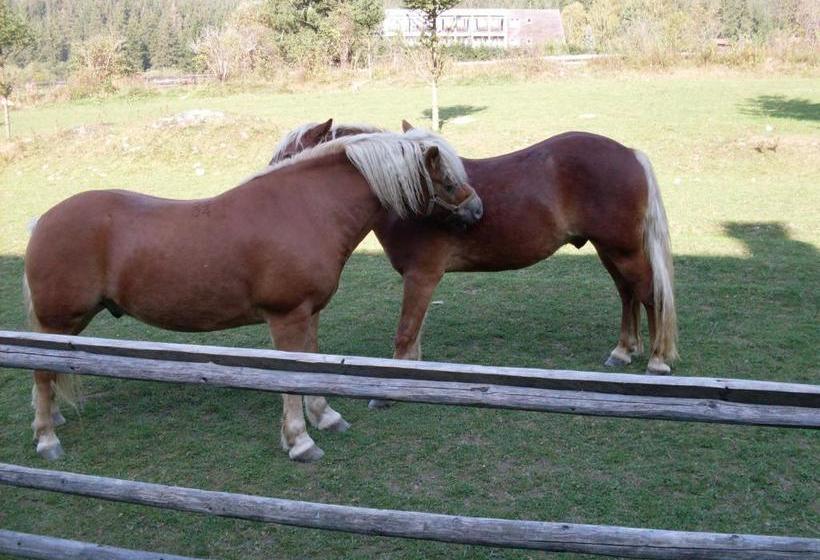 פנסיון Wellness Penzion U Michala