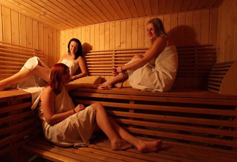 פנסיון Wellness Penzion U Michala