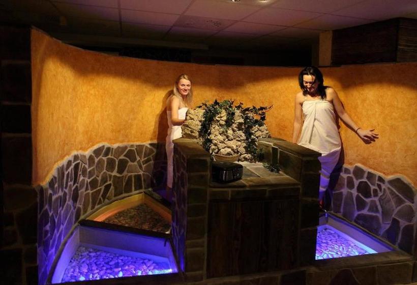 פנסיון Wellness Penzion U Michala