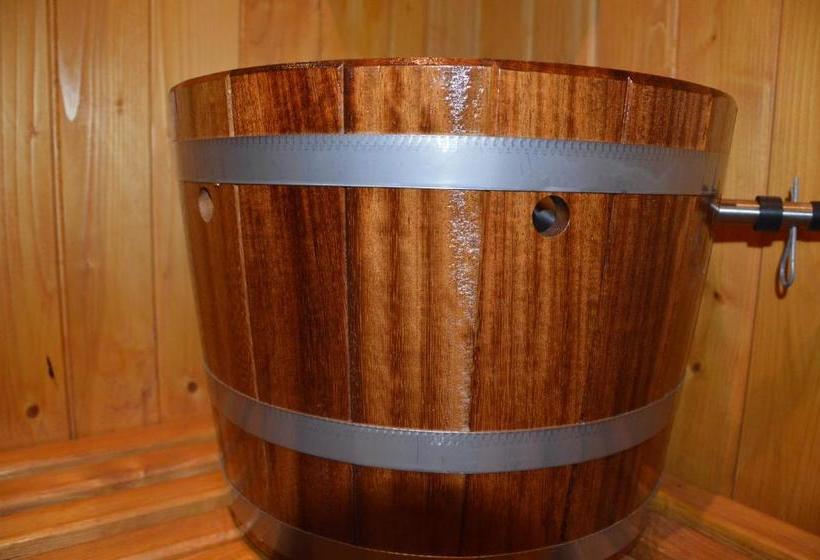 פנסיון Wellness Penzion U Michala