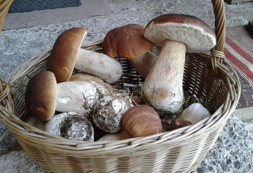 פנסיון Wellness Penzion U Michala