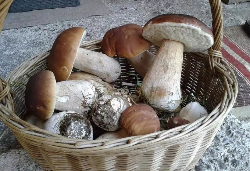 Majatalo Wellness Penzion U Michala