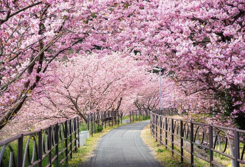 פנסיון Zen No Yu