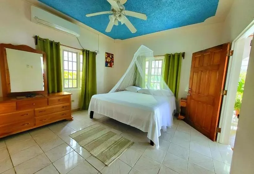پانسیون Green's Palace Jamaica