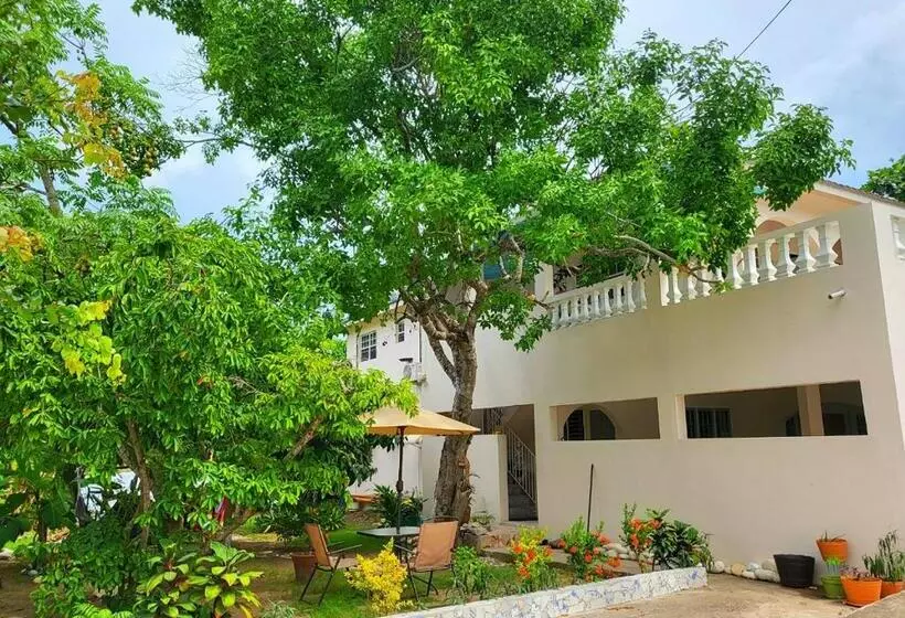 پانسیون Green's Palace Jamaica