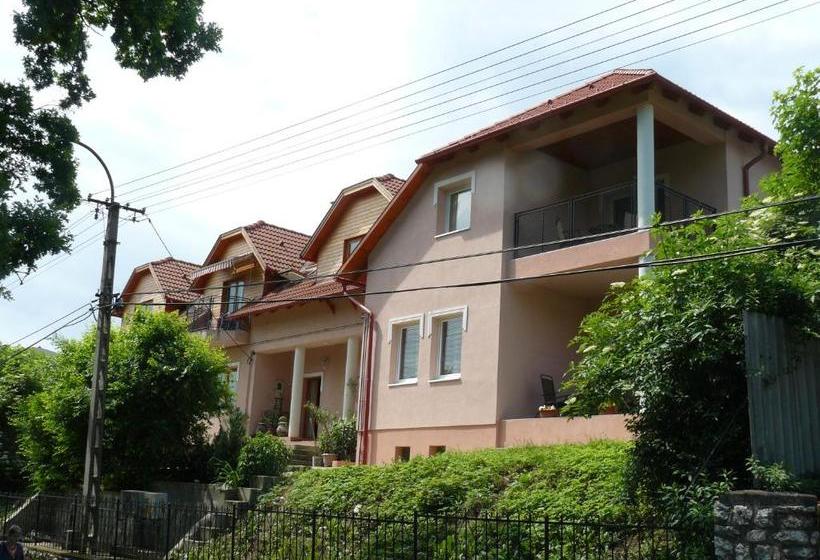 Pensjonat Hejő Apartman