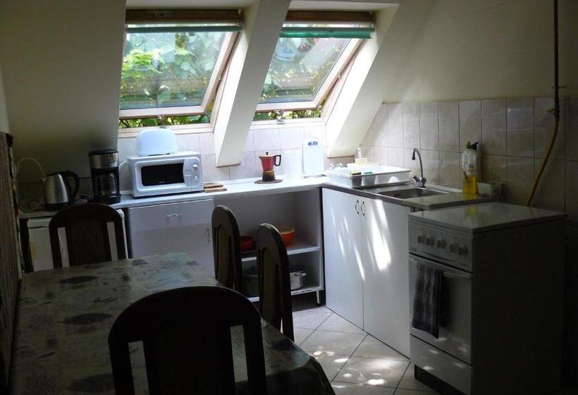 Pensjonat Hejő Apartman
