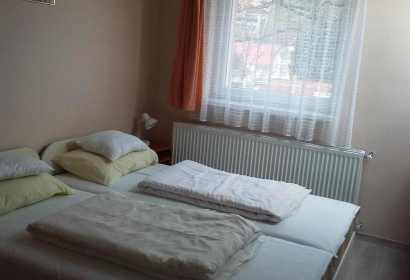 Pensjonat Hejő Apartman