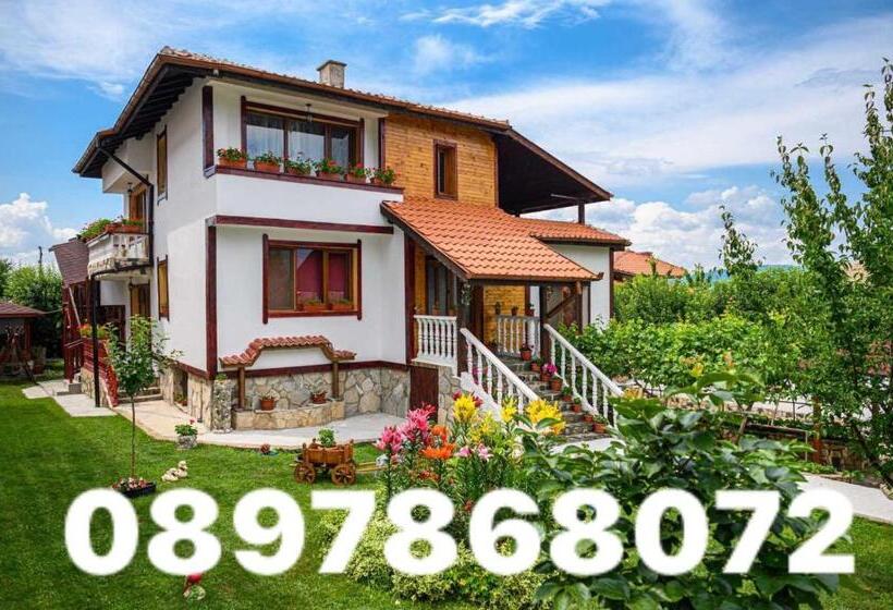 Pensjonat Medi Guest House