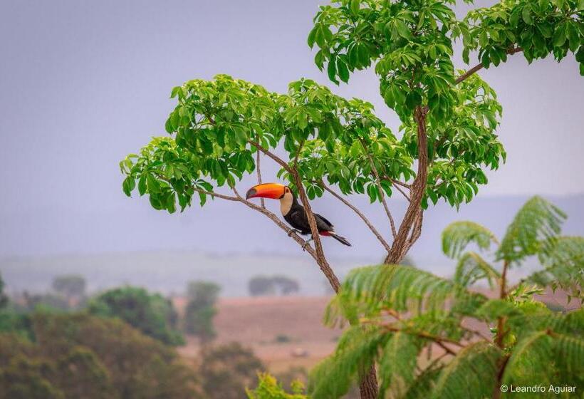 Пансион Pousada Mirante Do Cerrado